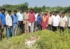 లేగ దూడపై చిరుత దాడి !